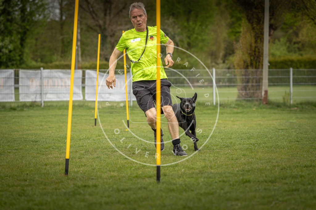 Pfotenfotografie_DV3A7691 | Hundefotografie, Tierfotograf, Pfotenfotografie, Fotoshooting Hund, Hunde Portrait, Hundesport, Hundeportraits, Heideshooting, Hunde, Sportfotograf, Hundefotograf, Turnierhundsport, THS,  - Realisiert mit Pictrs.com