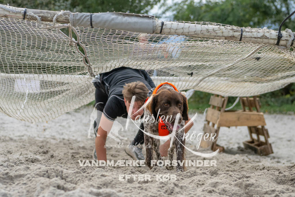 1136_ZZ98253 | kk-dogfotos