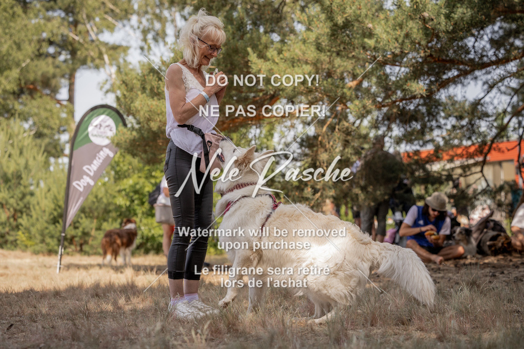 nelerasche_soDD2_213 | nelerasche