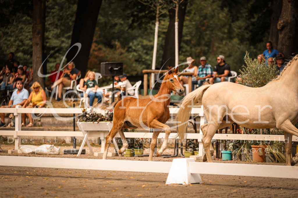 SaPA00076 | Leoni Ertmer Photography - Realisiert mit Pictrs.com