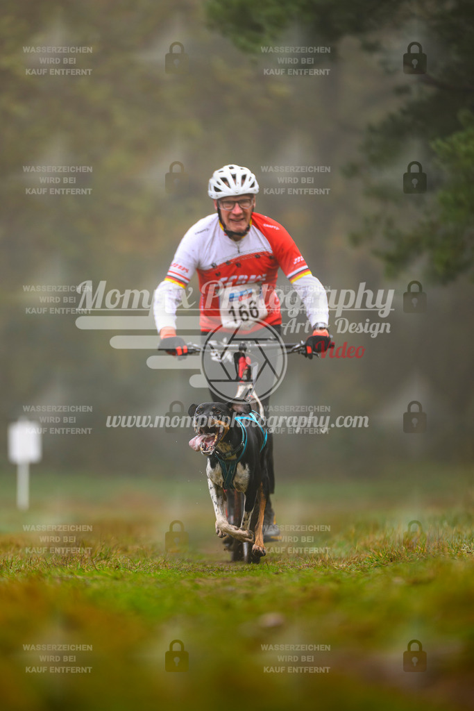 MompixPhotography_Bischwiller2025_Scooter-31 | mompixphotography