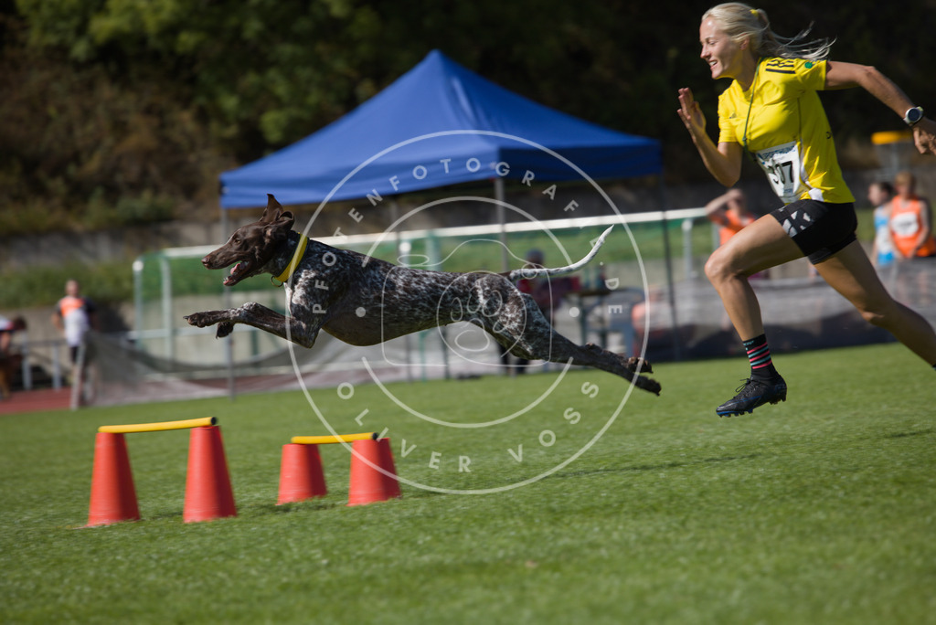 0L8A7814 | Hundefotografie, Tierfotograf, Pfotenfotografie, Fotoshooting Hund, Hunde Portrait, Hundesport, Hundeportraits, Heideshooting, Hunde, Sportfotograf, Hundefotograf, Turnierhundsport, THS,  - Realisiert mit Pictrs.com