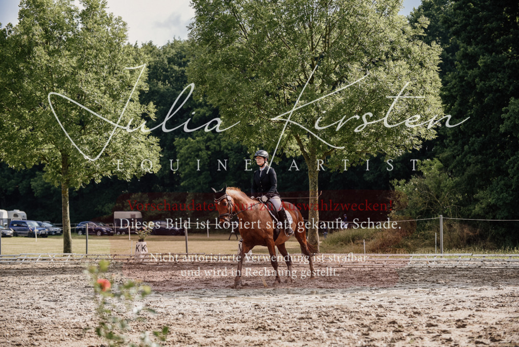 DSC_8928 | Pferde- und Turnierfotografie in Westsachsen. Pferdeportraits, Auftragszeichnungen und intuitive Kunst.