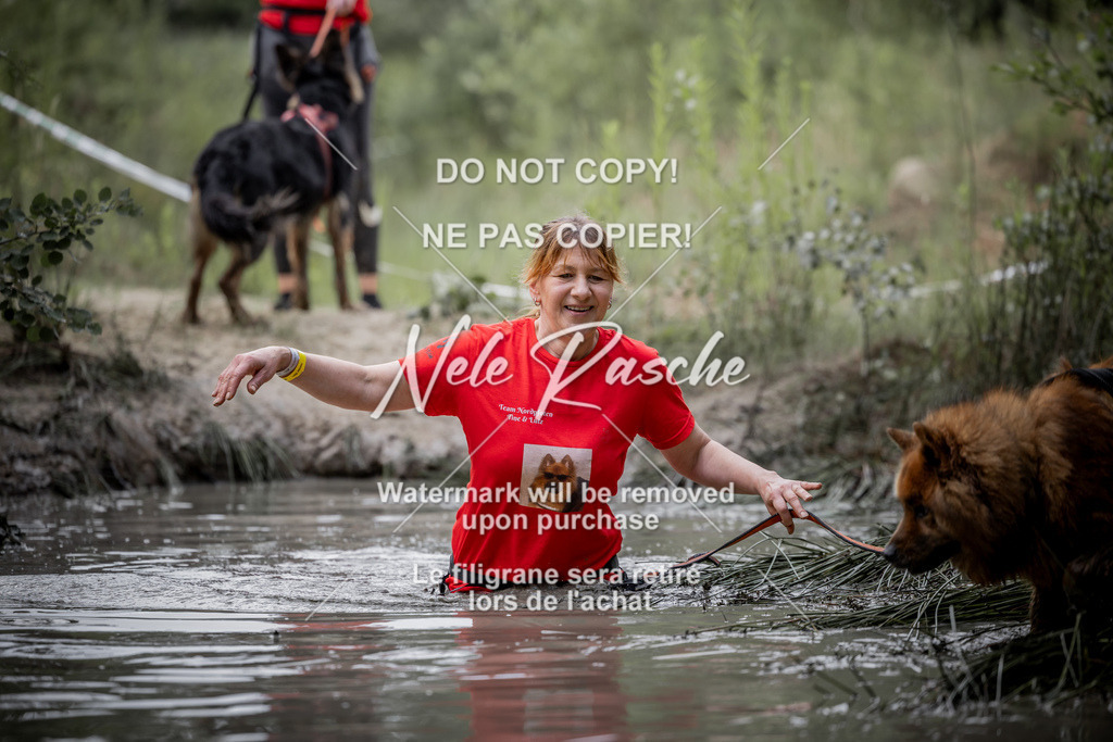 nelerasche_so0800-0930_308 | nelerasche