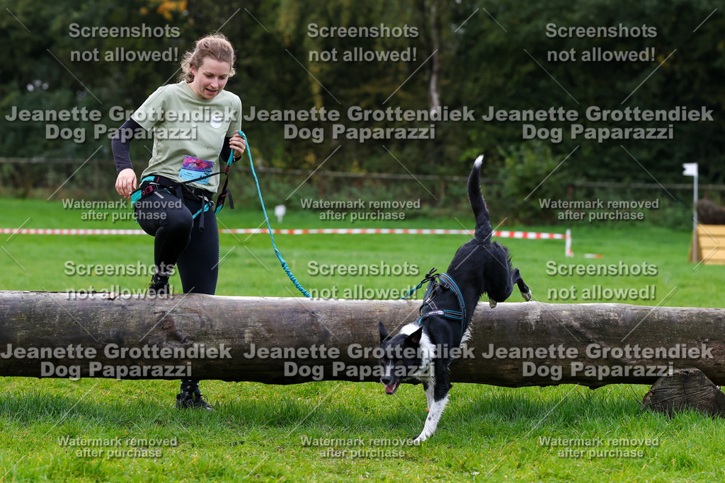 Dog Paparazzi -  SD1026-1250 | Dog Paparazzi Jeanette Grottendiek Fotografie & Videografie - Realisiert mit Pictrs.com