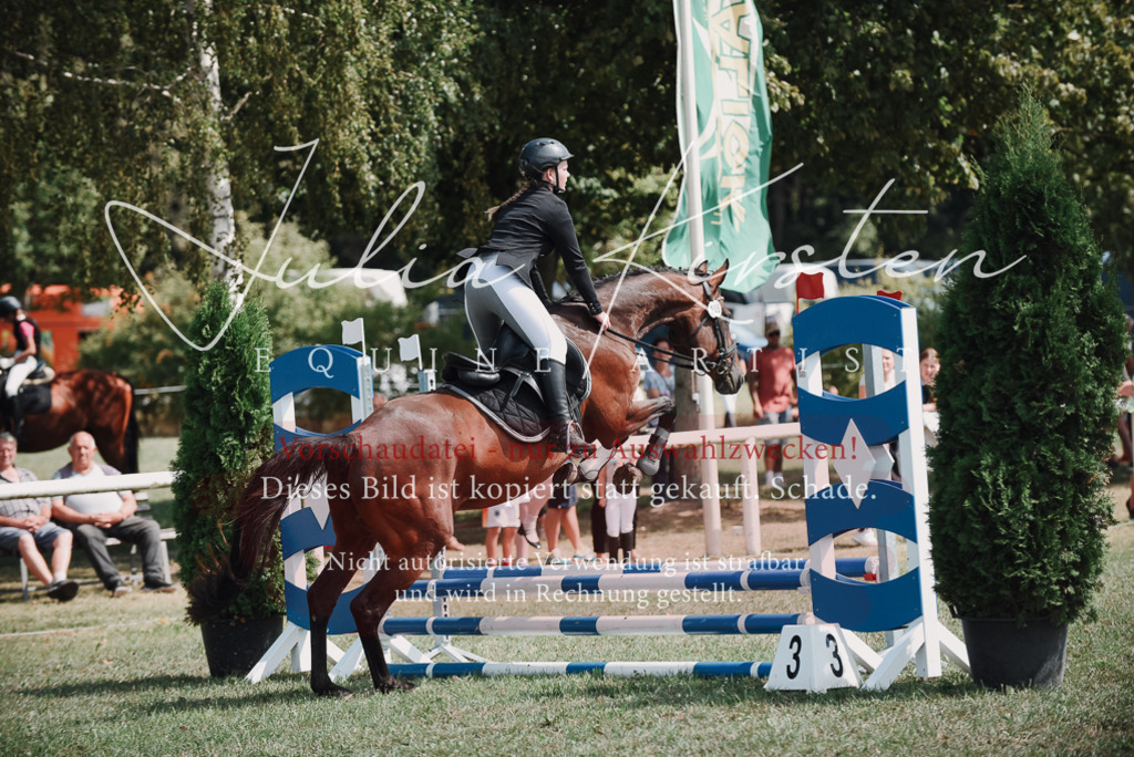 DSC_5779 | Pferde- und Turnierfotografie in Westsachsen. Pferdeportraits, Auftragszeichnungen und intuitive Kunst.