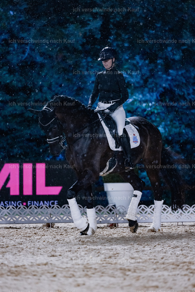 FHClassics-105 | working equitationturnier fotograf videograf stoibphotography marixx film working equitation deutschland reitsport turnierfotografie eventfotografie equestrian events