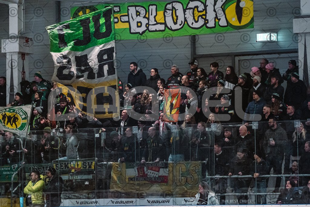 Alligators_vs_Erding_01_02_2026-11 | Höchstadt Alligators Fotogalerie: Eishockey-Action aus Franken. Professionelle Spielfotos, Portraits & Stadionbilder zum Download. Jetzt entdecken! - Realized with Pictrs.com