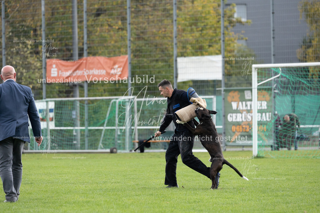 _16A7113 | Einzigartige Fotos von Hunden & Menschen –Actionfotos, Portraits, Vereinsaufnahmen & Paarshootings – authentisch, lebendig & mit Herz.