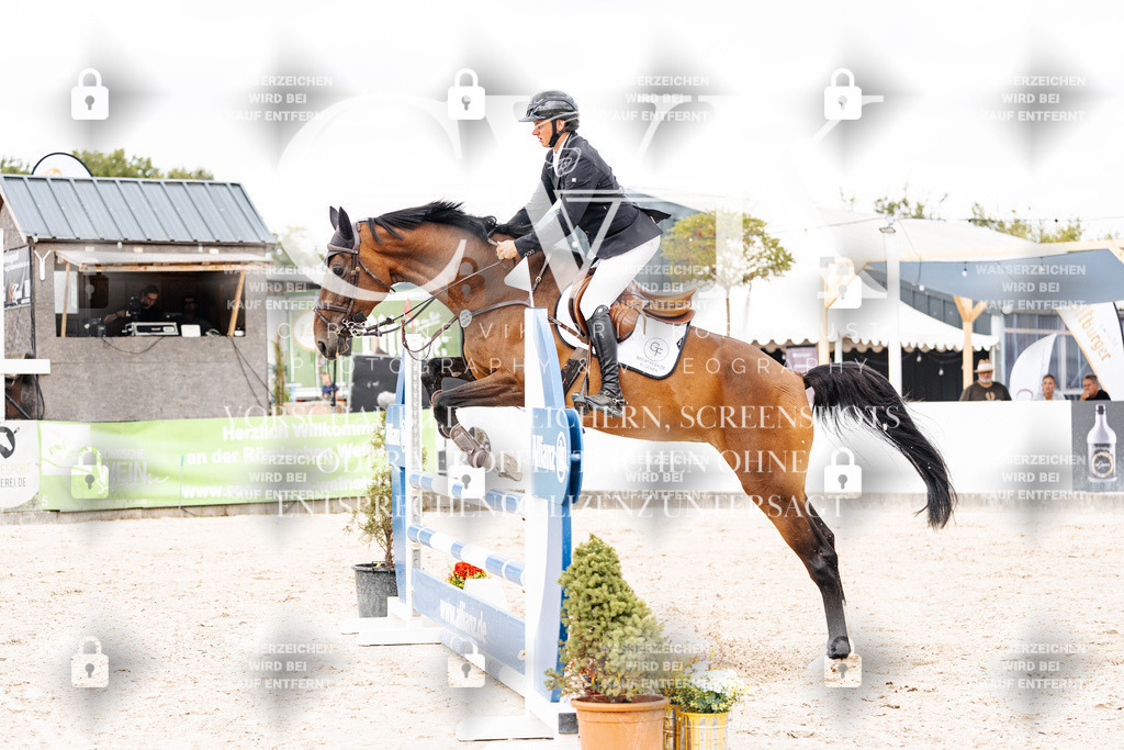 CK909390 | Turnierfotografie Pferdefotografie Trier Rheinland-Pfalz Pferdesport Reitsport Tierfotografie Sportfotografie Pferdevideo Pferdevideografie Equestrianvideography equestrianphotography  - Realisiert mit Pictrs.com