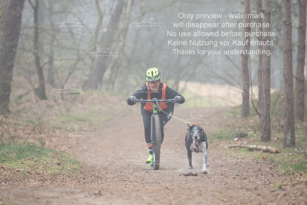 Scooter1-140 | stephaniefillaphotographie - Realisiert mit Pictrs.com