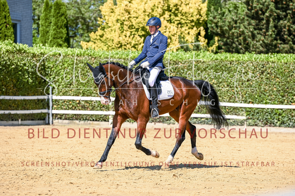 Schugtsche-Aluta25-50.Dressurpferdeprf.L-40 | Schugtsche Fotografie - Realisiert mit Pictrs.com