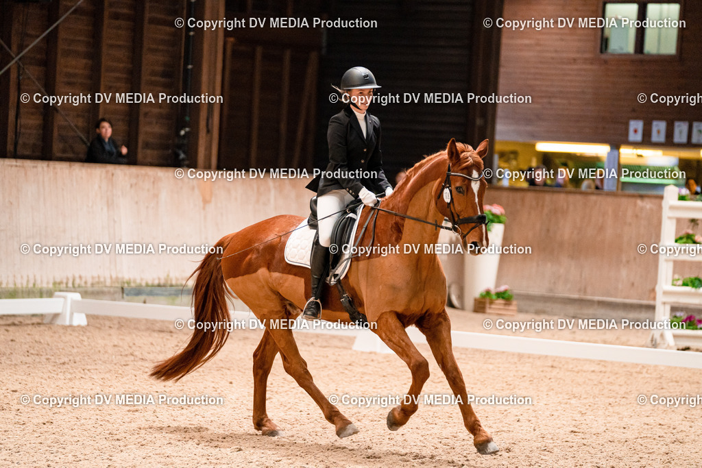 Dressur Tag 1 -374 | dv-media-shop - Realisiert mit Pictrs.com