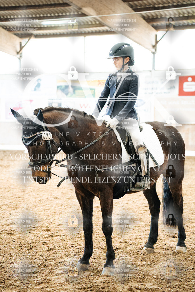 CK703098 | Turnierfotografie Pferdefotografie Trier Rheinland-Pfalz Pferdesport Reitsport Tierfotografie Sportfotografie Pferdevideo Pferdevideografie Equestrianvideography equestrianphotography  - Realisiert mit Pictrs.com