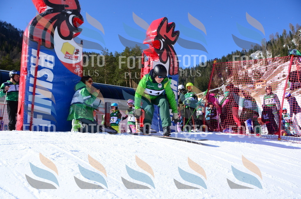 C4655 | holidayphoto