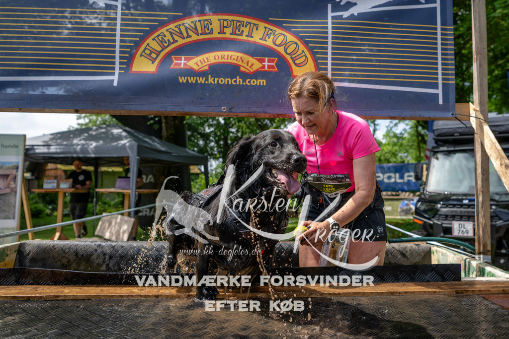 1136_ZZ94749 | kk-dogfotos