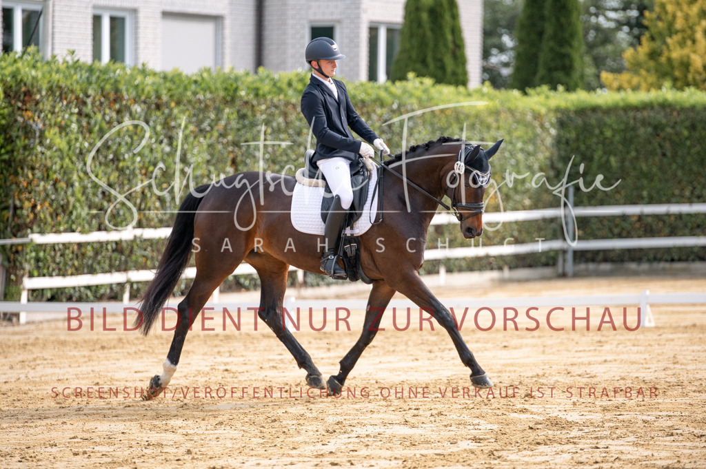 Schugtsche-Aluta25-40.DressurprfA_-185 | Schugtsche Fotografie - Realisiert mit Pictrs.com
