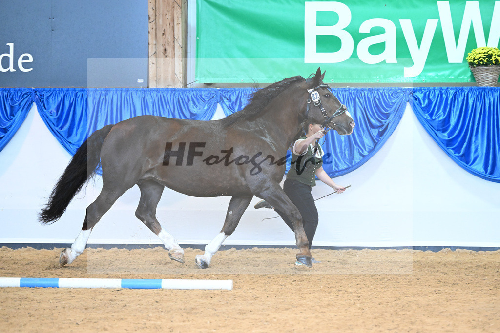 Kat-Nr. 82 Rebeca_Bauer_53220424 | hf-fotografie - Realisiert mit Pictrs.com