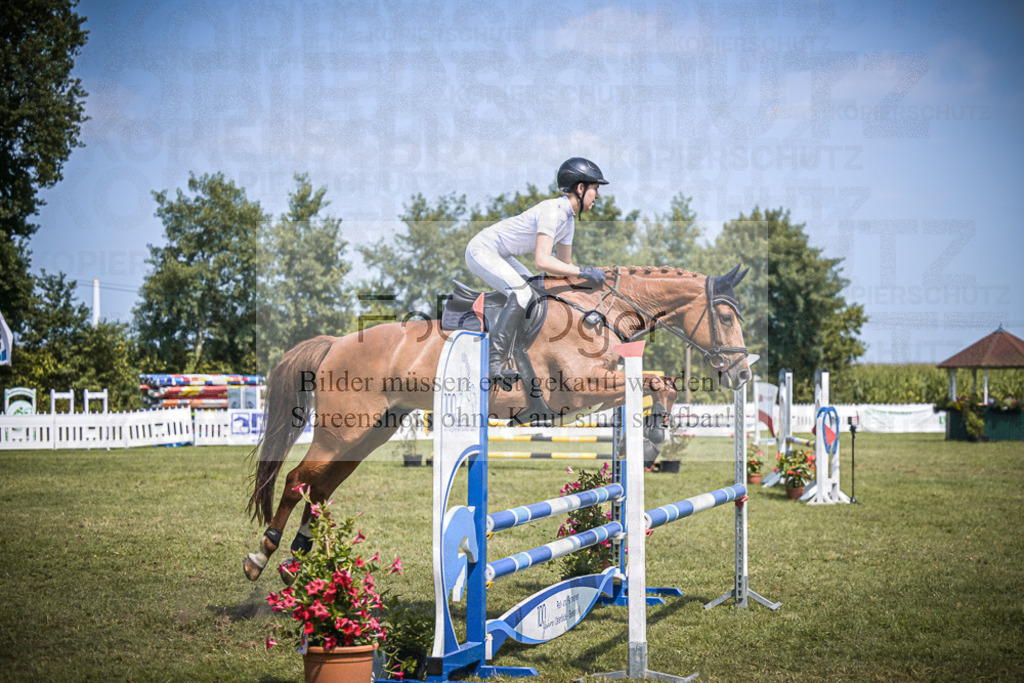 DOS_4111 | Entdecke hochwertige Reitturnierfotos von Foto Oger. Professionell, emotional und authentisch – jetzt Lieblingsmomente im Shop bestellen.Deutschlandweite Turnierfotografie. - Realisiert mit Pictrs.com