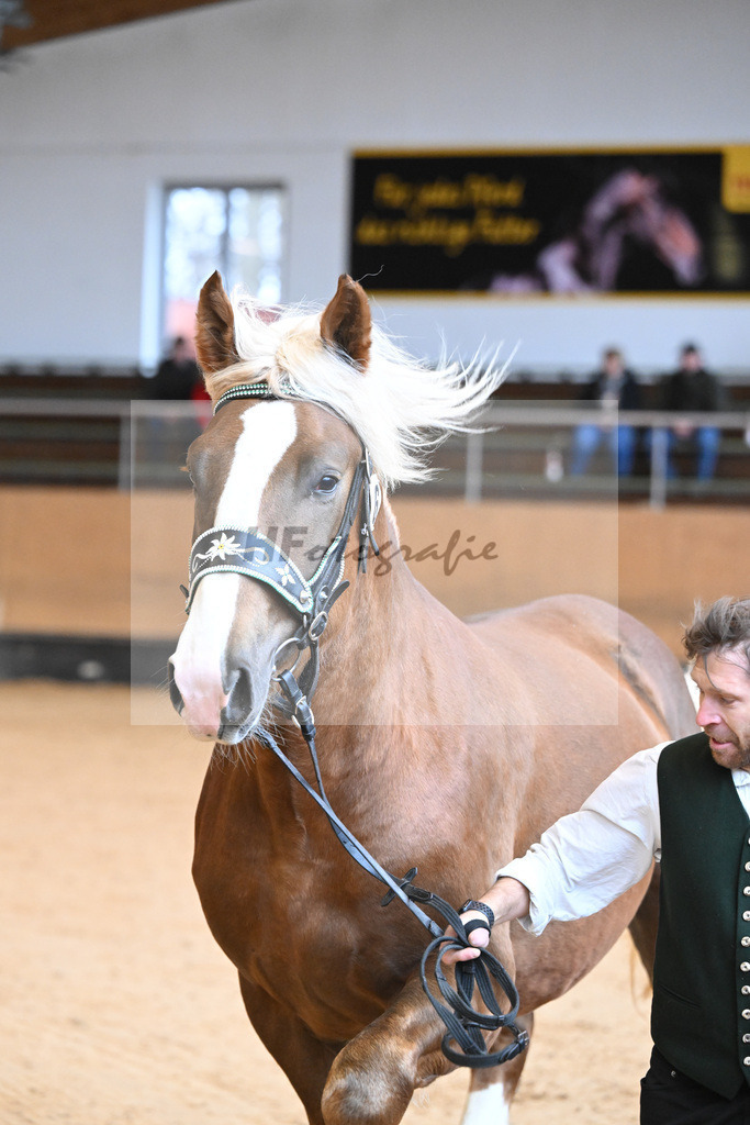 Kat-Nr. 6 v. Versailles_Neumayr_2230055 | hf-fotografie - Realisiert mit Pictrs.com