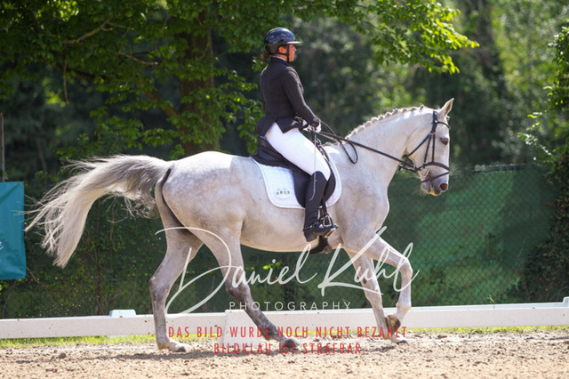 DKP42528 | Turniersportfotografie; Pferdefotografie; Dressurfotografie