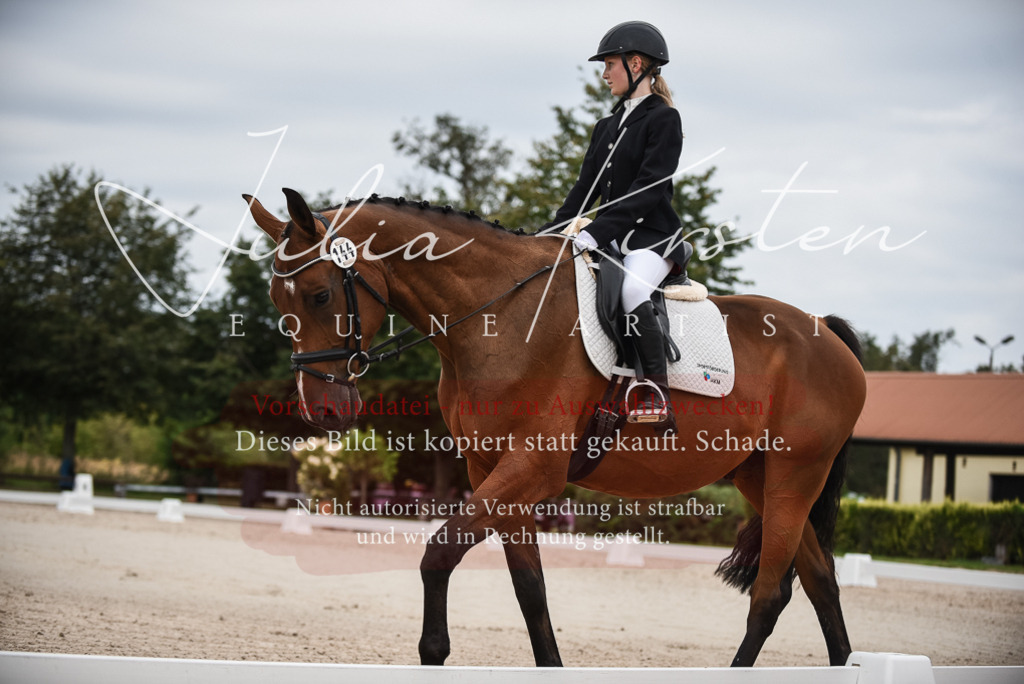 DSC_8021 | Pferde- und Turnierfotografie in Westsachsen. Pferdeportraits, Auftragszeichnungen und intuitive Kunst.