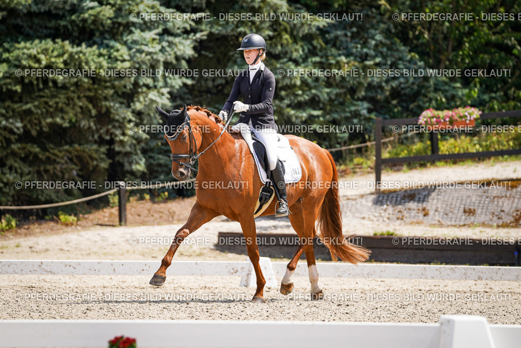 DSC00851 | Pferdegrafie