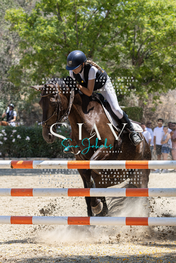 IMG_6992 | s-jay-photography - Realisiert mit Pictrs.com