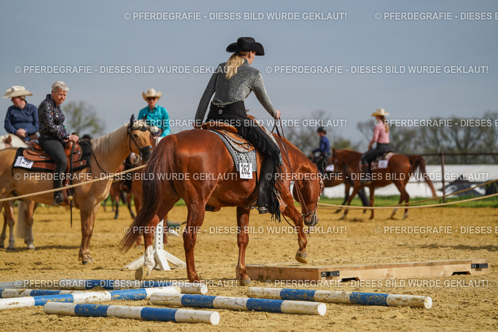 DSC01904 | Pferdegrafie