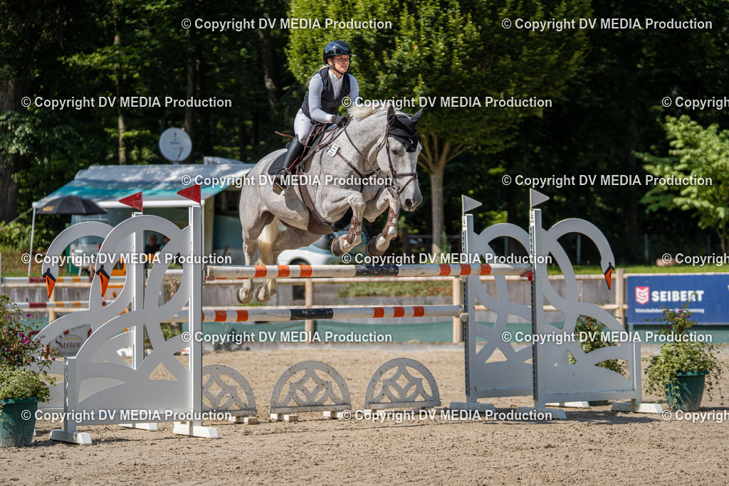 Hessische Tag 1-1600 | dv-media-shop - Realisiert mit Pictrs.com