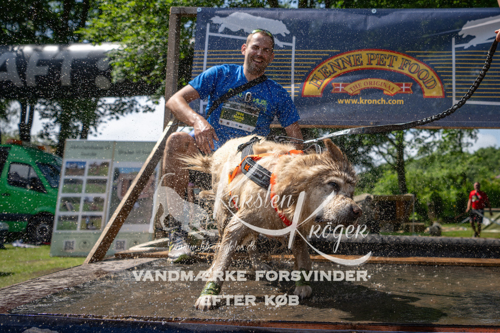 1145_ZZ94866 | kk-dogfotos