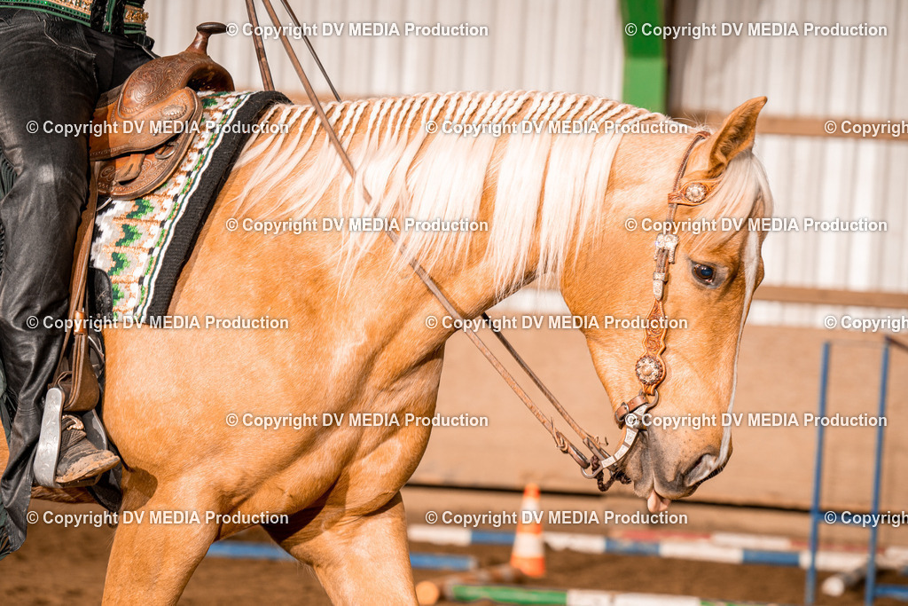 BA400196 | dv-media-shop - Realisiert mit Pictrs.com