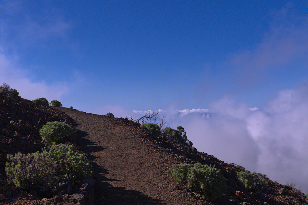 Teneriffa 2025 | Seelentiefe - Bilder die bewegen - Realisiert mit Pictrs.com