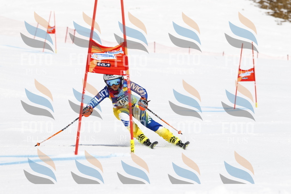 _U3G4297 | holidayphoto