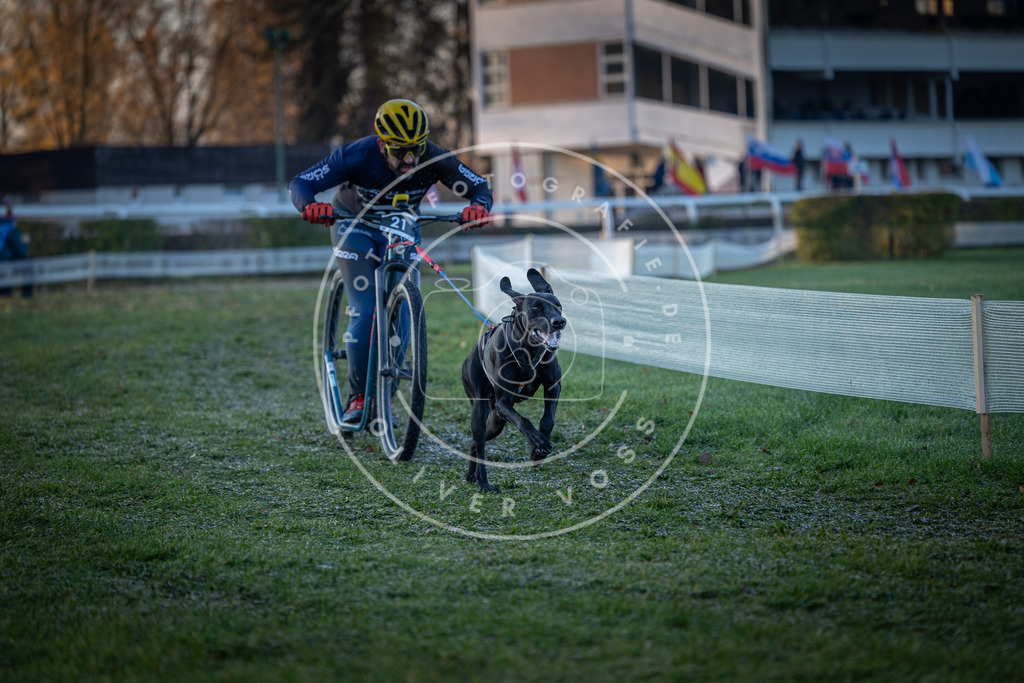 CaniXpix_0L8A1276 | Hundefotografie, Tierfotograf, Pfotenfotografie, Fotoshooting Hund, Hunde Portrait, Hundesport, Hundeportraits, Heideshooting, Hunde, Sportfotograf, Hundefotograf, Turnierhundsport, THS,  - Realisiert mit Pictrs.com