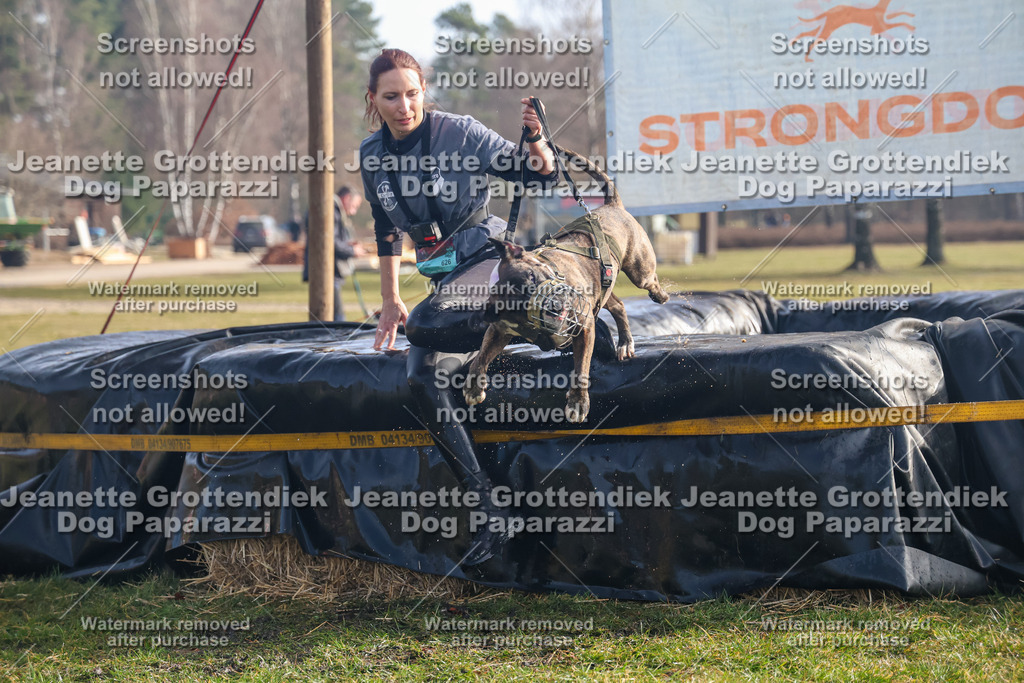 Dog Paparazzi - Strongdog North Mrz26-318 | Dog Paparazzi Jeanette Grottendiek Fotografie & Videografie - Realisiert mit Pictrs.com