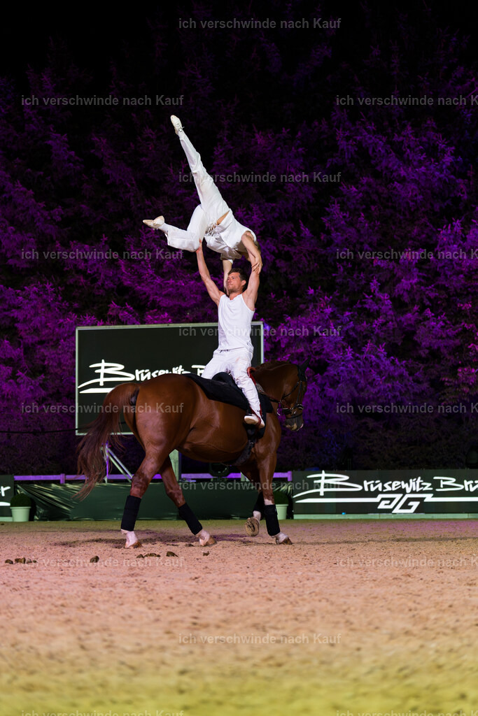 Gala-317 | working equitationturnier fotograf videograf stoibphotography marixx film working equitation deutschland reitsport turnierfotografie eventfotografie equestrian events