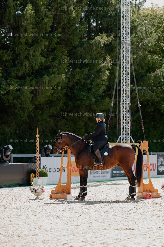 Lara_21_FHC2025-28 | working equitationturnier fotograf videograf stoibphotography marixx film working equitation deutschland reitsport turnierfotografie eventfotografie equestrian events