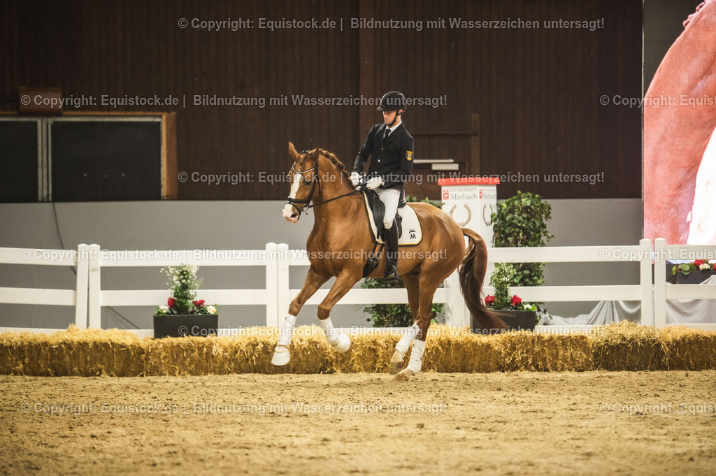 20240302_Hengstvorstellung_Marbach_TOMsPiC_0562 | equistock