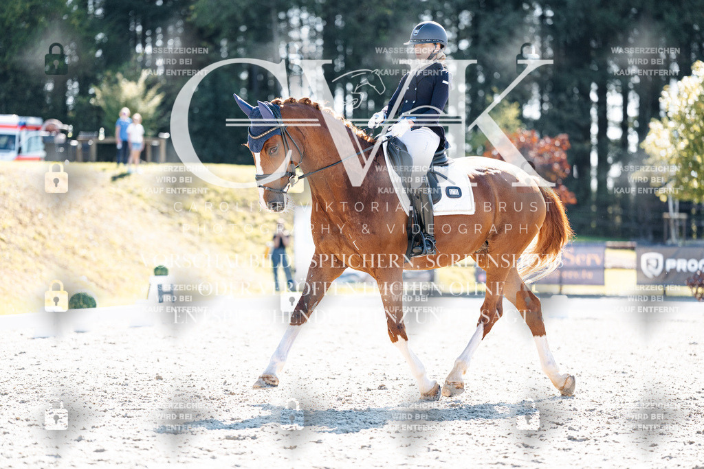 CK905501 | Turnierfotografie Pferdefotografie Trier Rheinland-Pfalz Pferdesport Reitsport Tierfotografie Sportfotografie Pferdevideo Pferdevideografie Equestrianvideography equestrianphotography  - Realisiert mit Pictrs.com