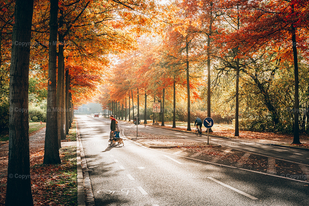 _DSC8066 | Leipzig Wandbilder Drucke Prints Leinwand Stadtmotive Leipzig Fotosdruck Kunstdrucke Bilder Leipzig Stadtansichten Acrylglasbilder Leipzig Wanddeko Fine Art Prints Wandbilder Büro Leipzig Bilder Praxis Zuhause Bilderdruck Poster Posterlounge Kunstdrucke - Realisiert mit Pictrs.com