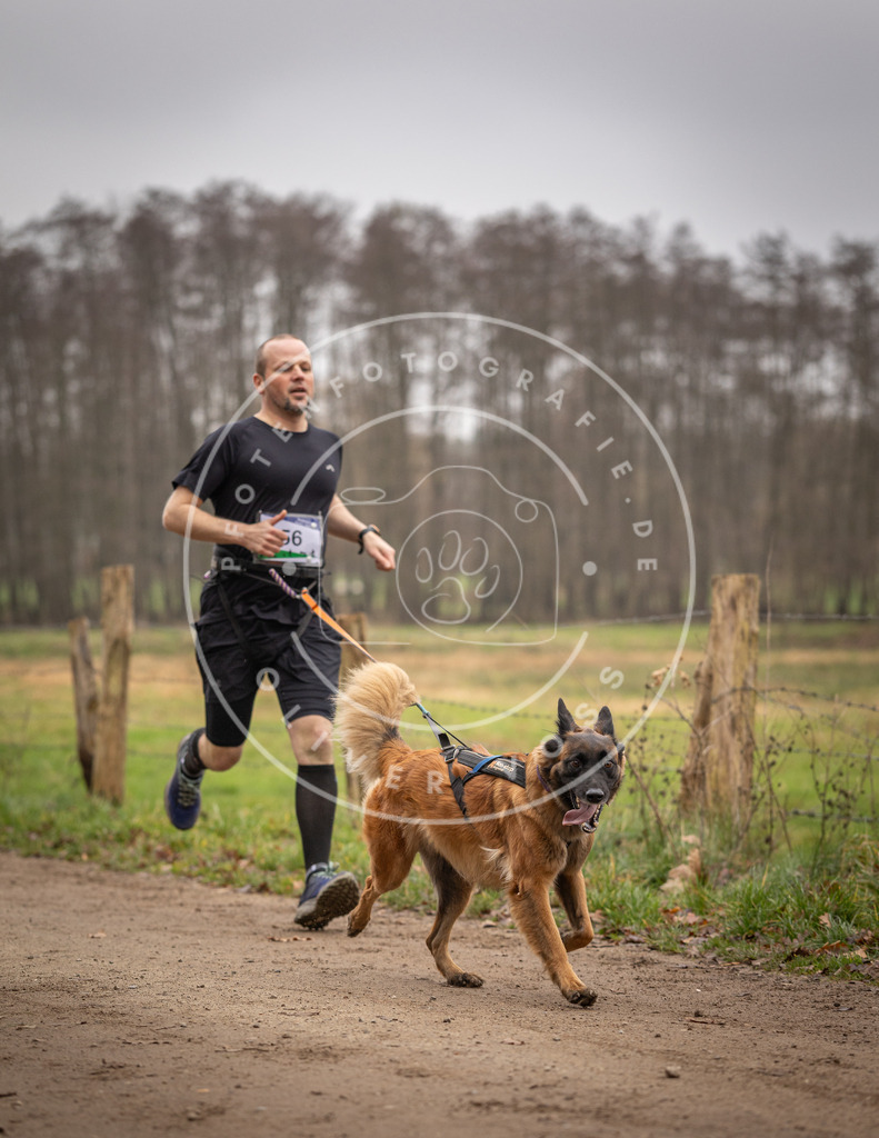 Pfotenfotografie_DV3A3081 | Hundefotografie, Tierfotograf, Pfotenfotografie, Fotoshooting Hund, Hunde Portrait, Hundesport, Hundeportraits, Heideshooting, Hunde, Sportfotograf, Hundefotograf, Turnierhundsport, THS,  - Realisiert mit Pictrs.com