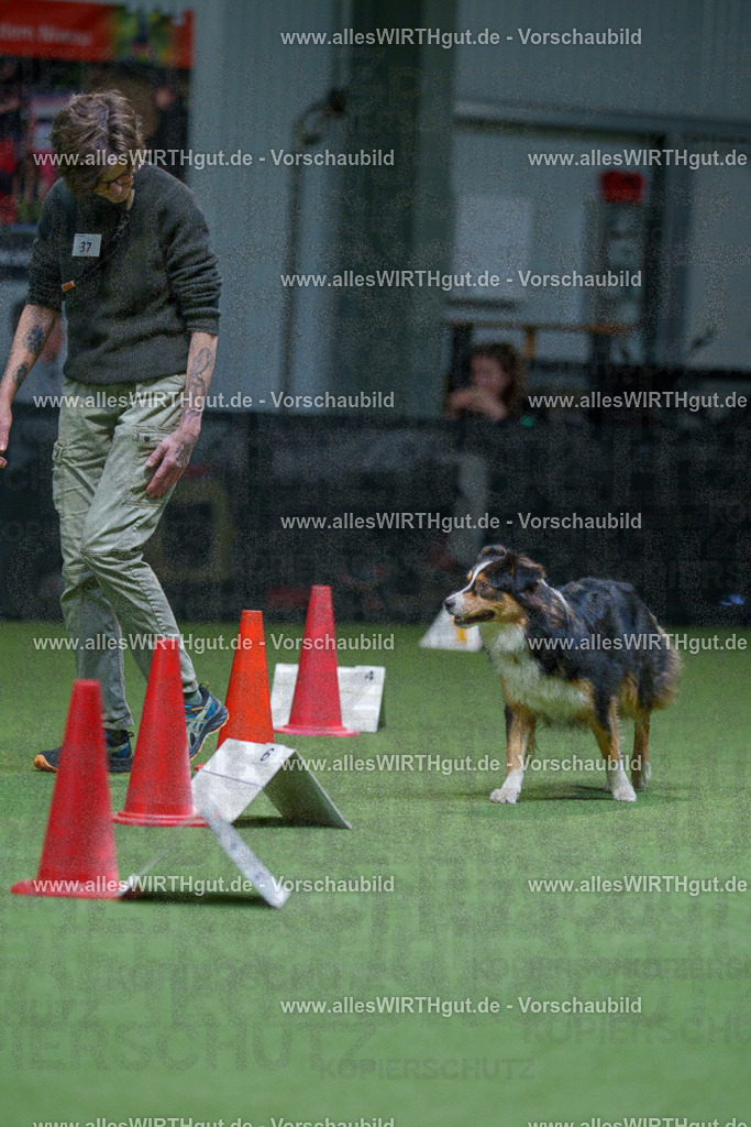 7R506031 | Professionelle Tierfotografie in Mönchengladbach von Daniel Wirth (allesWIRTHgut). Liebevolle & natürliche Bilder von Hunden & Katzen für unvergessliche Erinnerungen.