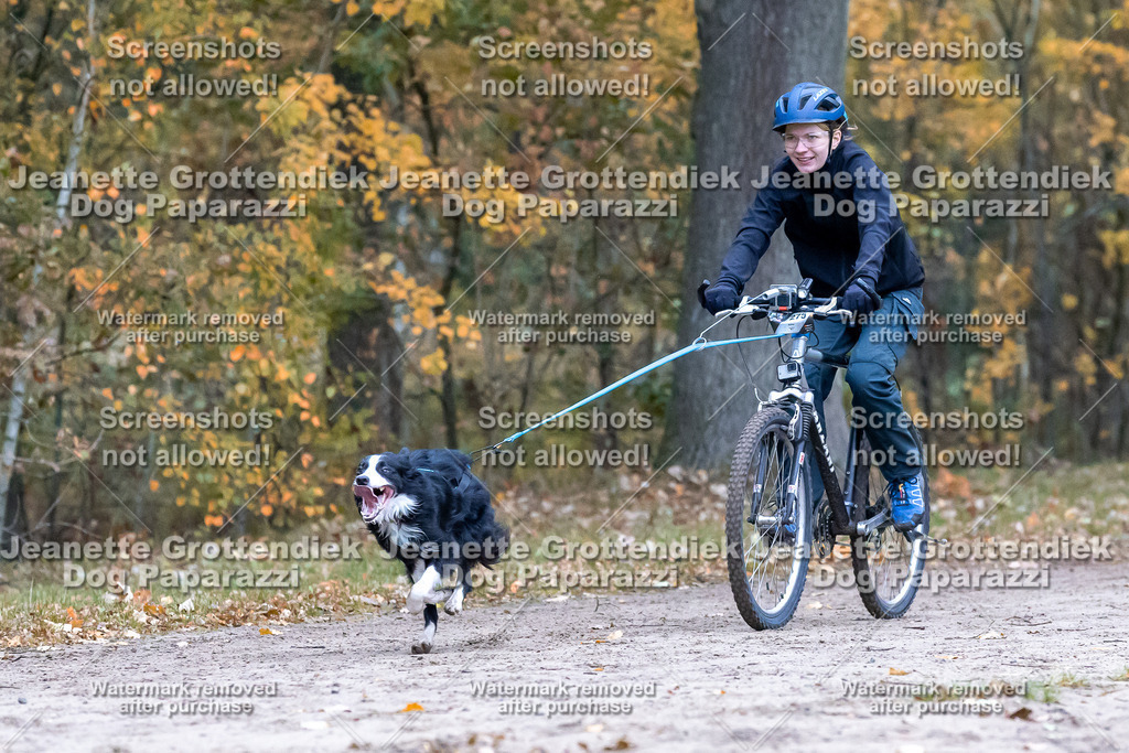 Dog Paparazzi - SD CaniX Championship 2025-289 | Dog Paparazzi Jeanette Grottendiek Fotografie & Videografie - Realisiert mit Pictrs.com