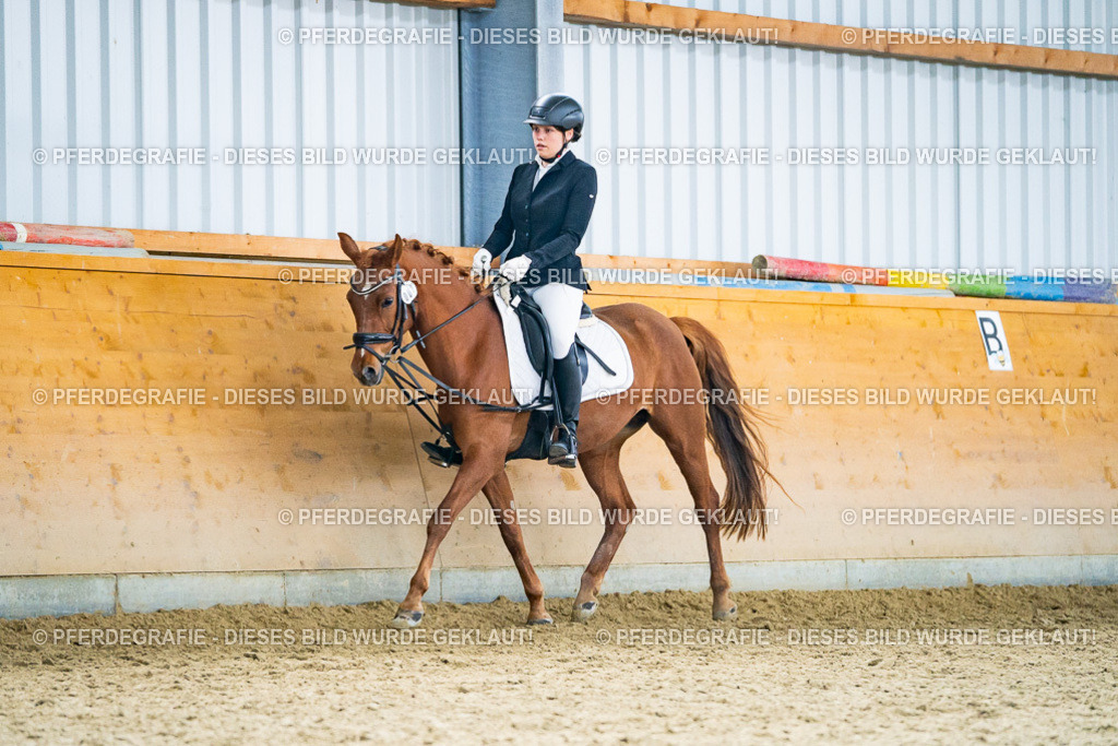 DSC03991 | Pferdegrafie