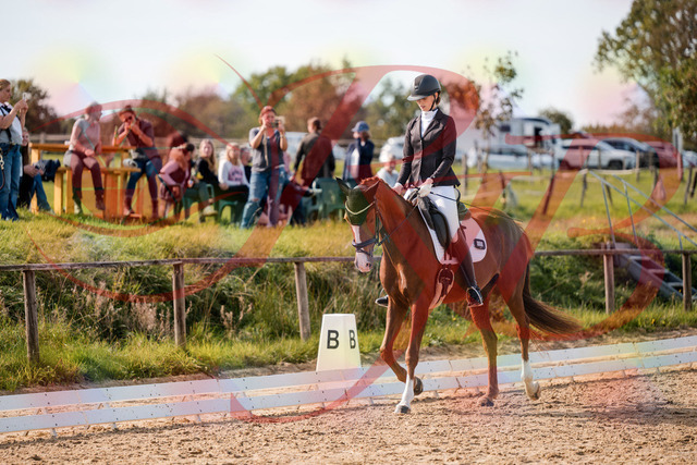 2026_10_03_Siefer-Hof_132816_Z63_88681124 | Professionelle Reitsport-, Turnier- und Eventfotografie von Robert Broda. Galerien mit ausgewählten und bearbeiteten Bildern direkt online ansehen und bestellen.