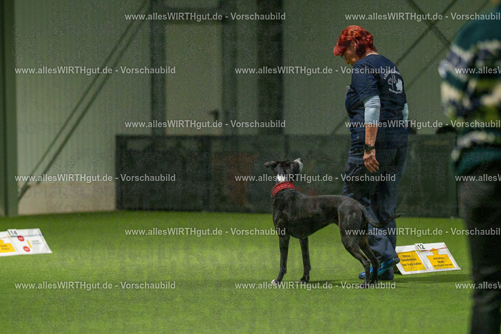 7R507387 | Professionelle Tierfotografie in Mönchengladbach von Daniel Wirth (allesWIRTHgut). Liebevolle & natürliche Bilder von Hunden & Katzen für unvergessliche Erinnerungen.