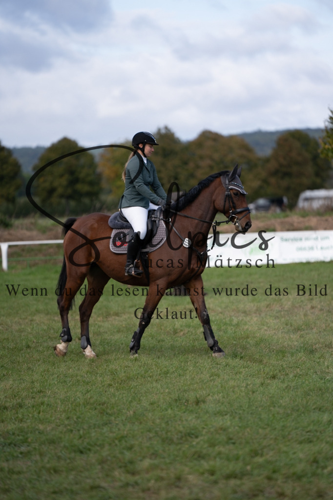 A7V06487 | Pferdefotograf