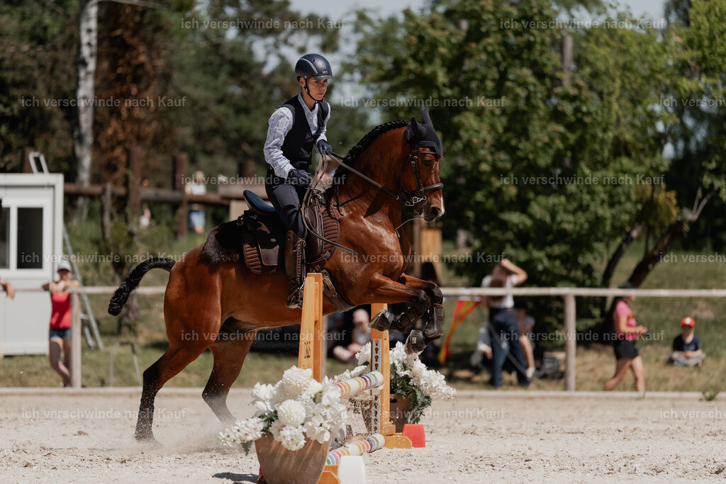 WE_SP_Stoib_343_PI2025_1781 | Pferd International München 2025