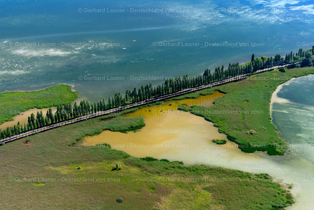 4032182 | Pappelallee bei REICHENAU 12.06.2020 Steg zur Bodensee-Insel Reichenau in Reichenau im Bundesland Baden-Württemberg. // Bridge to the Island Reichenau on the Lake of Constance in Reichenau in the state Baden-Wuerttemberg. Foto: Gerhard Launer